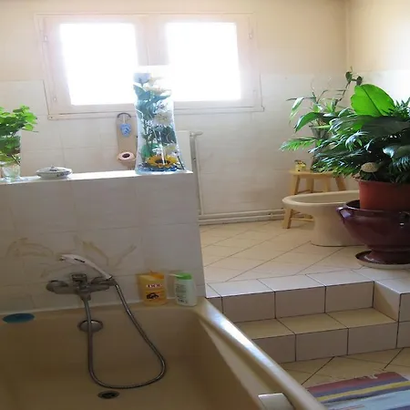ベッド・アンド・ブレックファスト Chambres D'hotes La Maison Bleue モンバジャック